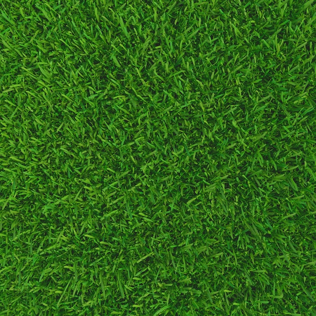 Photo green grass natural background texture spring green grass d illustration