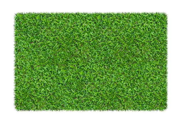 Green grass. Natural texture background. Fresh spring green grass. isolated on white background