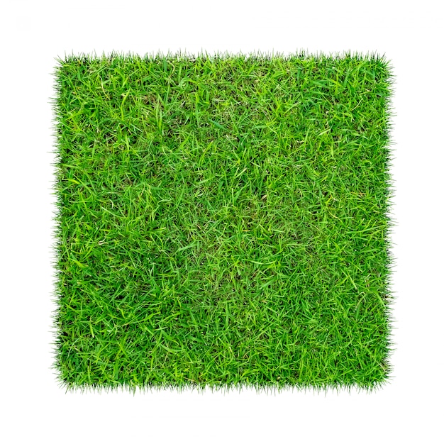 Green grass. Natural texture background. Fresh spring green grass