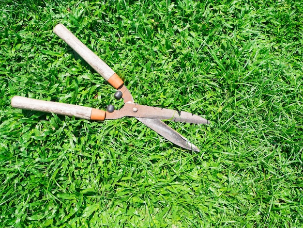 Green Grass Shears