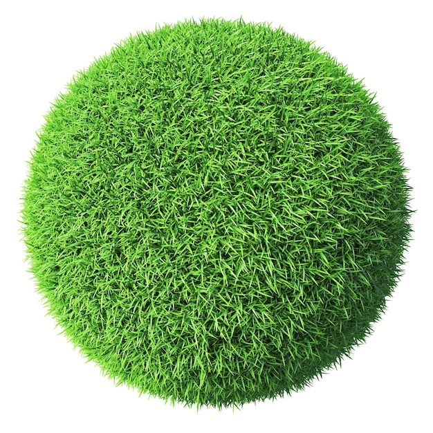 Green grass sphere isolated