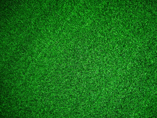 Green grass texture background grass garden concept used for making green background football pitch Grass Golf green lawn pattern textured background