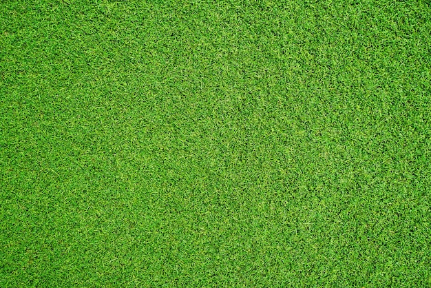 Green grass texture background grass garden concept used for making green background football pitch Grass Golf green lawn pattern textured background