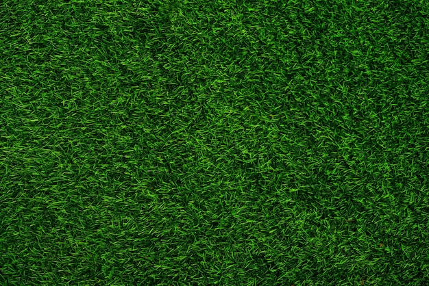 Green grass texture background grass garden concept used for making green background football pitch Grass Golf green lawn pattern textured backgroundx9