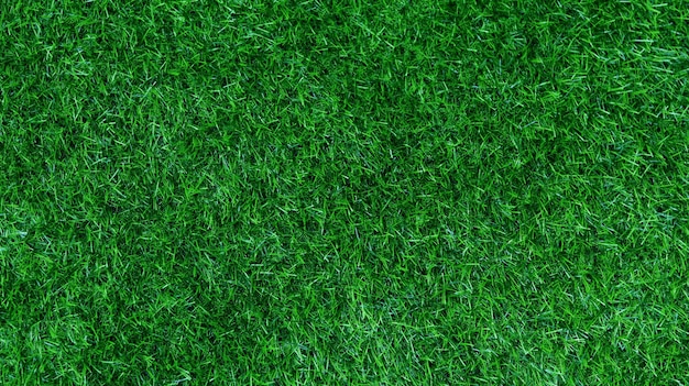 Green grass texture background grass garden concept used for making green background football pitch Grass Golf green lawn pattern textured backgroundx9