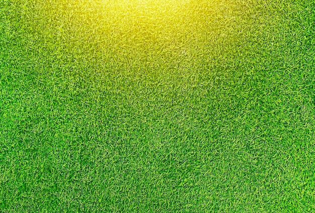 Green grass texture background grass garden concept used for making green background football pitch Grass Golf green lawn pattern textured backgroundx9