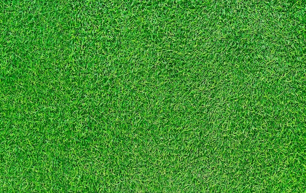 Green grass texture background grass garden concept used for making green background football pitch Grass Golf green lawn pattern textured backgroundx9