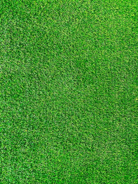 Green grass texture background grass garden concept used for making green background football pitch Grass Golf green lawn pattern textured backgroundx9