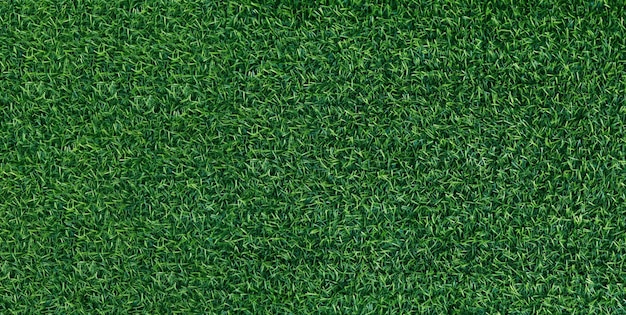 Green grass texture background grass garden concept used for making green background football pitch Grass Golf green lawn pattern textured backgroundx9