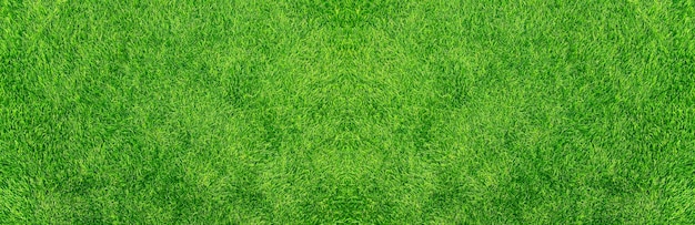 Green grass texture background grass garden concept used for making green background football pitch Grass Golf green lawn pattern textured backgroundx9