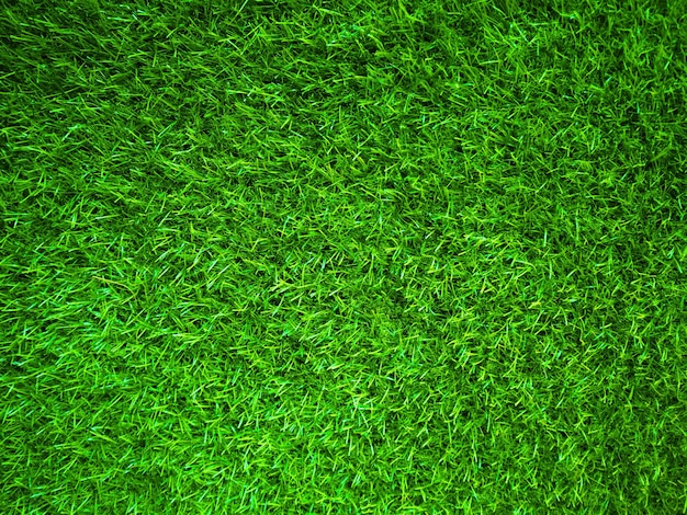 Green grass texture background grass garden concept used for making green background football pitch Grass Golf green lawn pattern textured backgroundxA