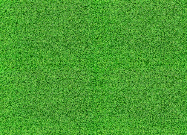 Green grass texture background grass garden concept used for making green background football pitch