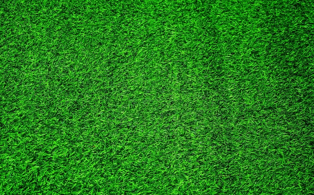 Green grass texture background grass garden concept used for making green background