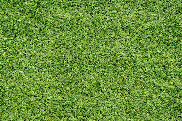 Green grass texture for background Green lawn pattern and texture background