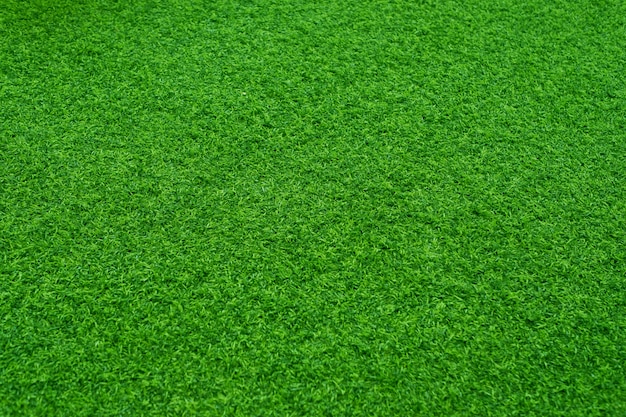 Green grass texture background