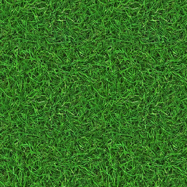 Photo green grass texture background