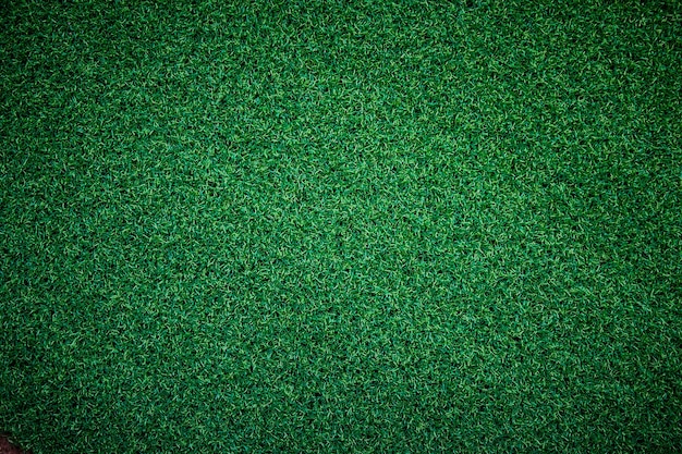 Green grass texture top view