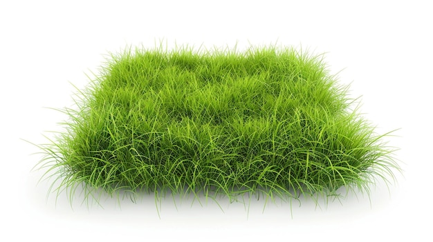 a green grass that is growing in a field