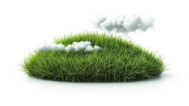 a green grass with a cloud in the background