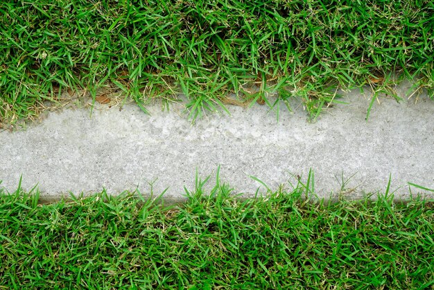 Photo green grass with empty cement border