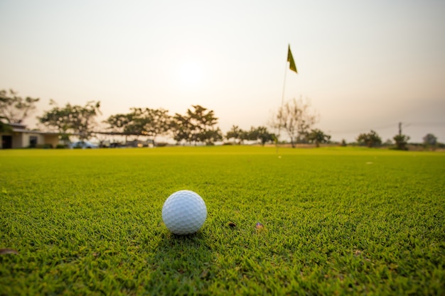 Green grass with golf ball close-up in soft focus at sunlight. Sport playground for golf club concept