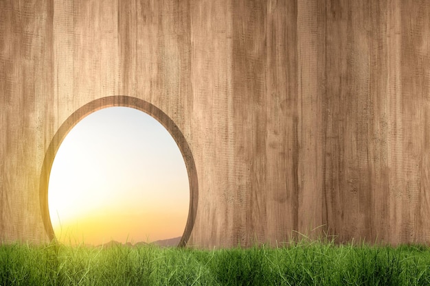 Green grass with a hole on a wooden fence