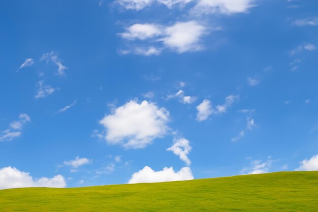 Green grassy hill against a blue sky with white clouds