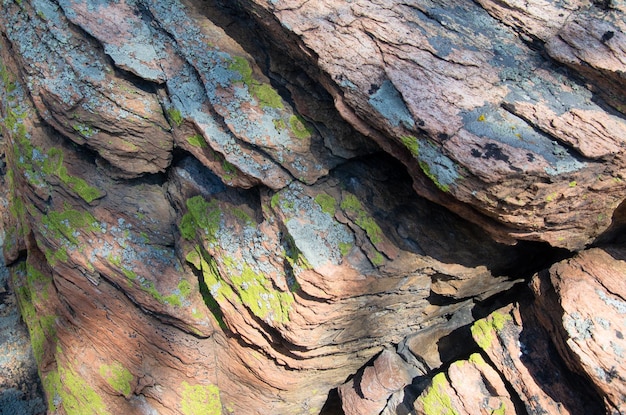 Green and gray lichen on layered rock