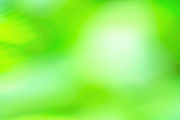 Green haze bokeh backdrop Green olive color blurred motion out of focus background