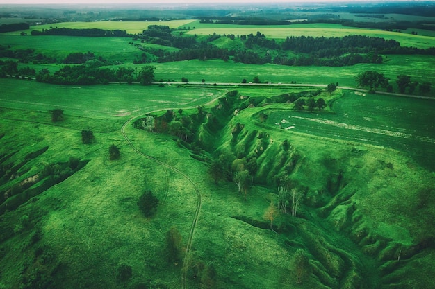 Green hills fields and ravines seen from above natural summer seasonal background from the drone