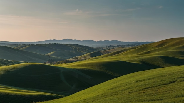 Photo the green hills of the rolling hills are rolling hills