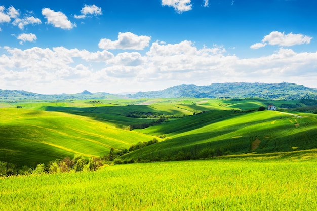 Green hills in Tuscany, Italy. Beautiful summer landscape.