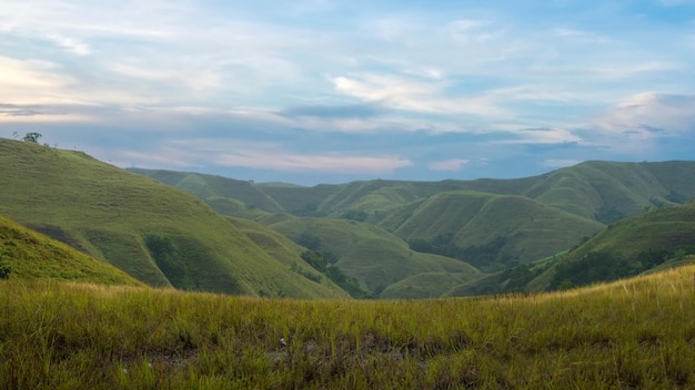 Green hills with a landscape view