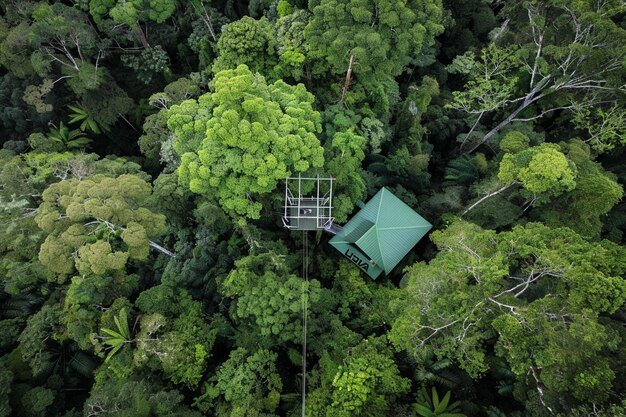 Photo a green house is in the middle of a forest