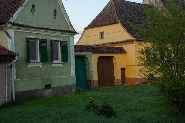 A green house with a brown roof and a green roof