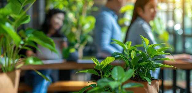 Photo green houseplants in a modern office setting with people working at desks in the background