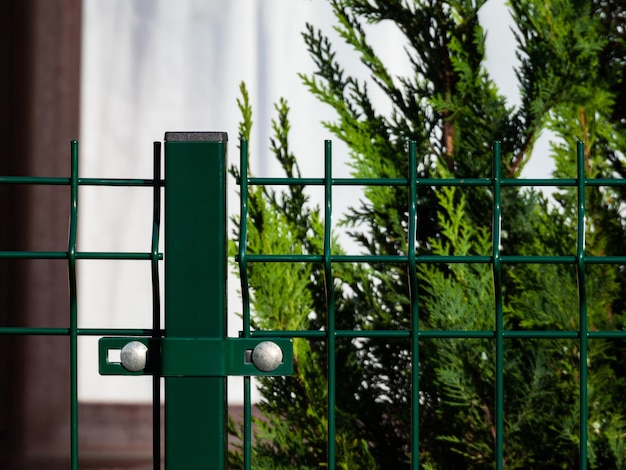 green iron fence with mesh on posts close up