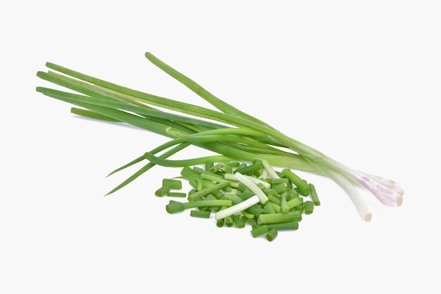 Green Japanese Bunching Onion on white background