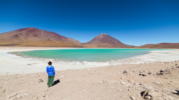 Photo green lagoon and licancabur volcano on the bolivian andes