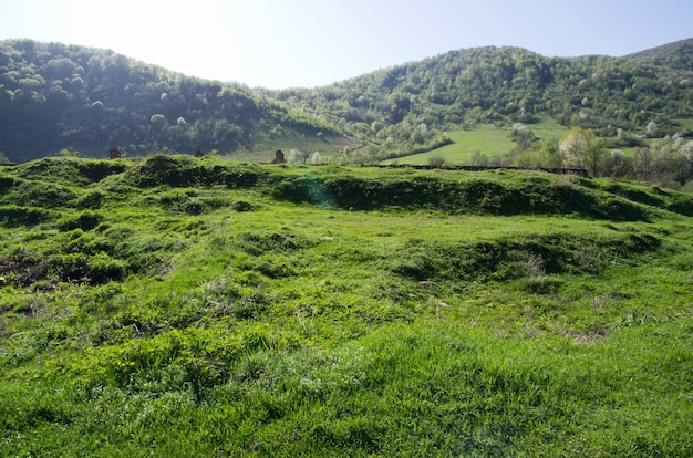 Green landscape high in the mountains