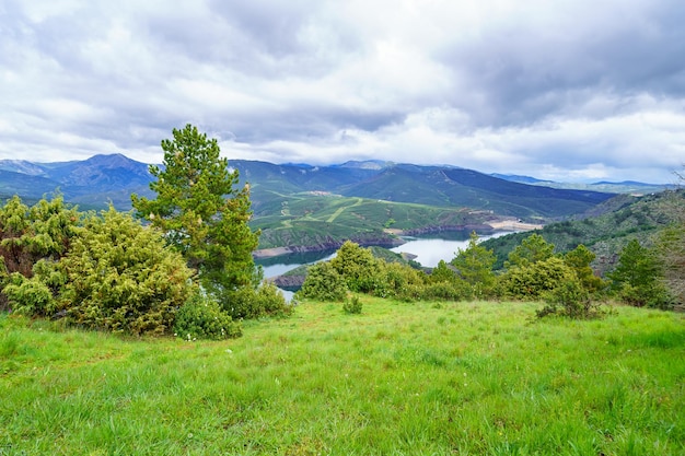 Green landscape of Mediterranean forest with pine trees and lakes between the mountains