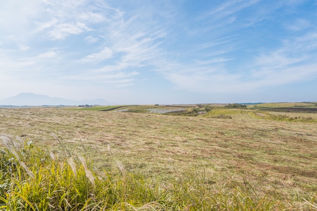 Green lanscape with mountain Aso background, Kusasenri, Aso, Kumamoto, Kyushu, Japan