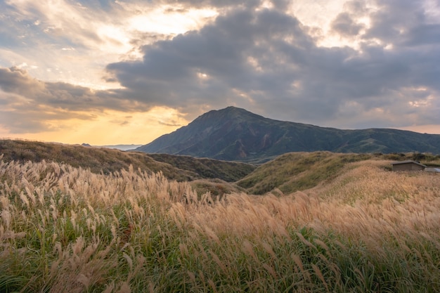 Green lanscape with mountain Aso background, Kusasenri, Aso, Kumamoto, Kyushu, Japan