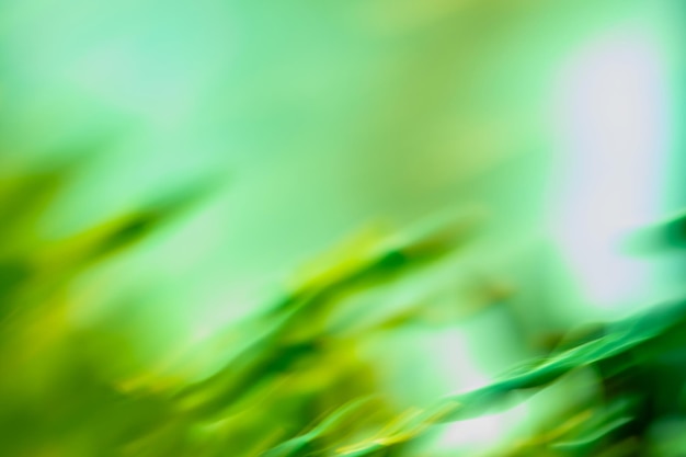 Green leaf on blurred greenery background Blurred city park on background Bokeh sun and blur green tree background