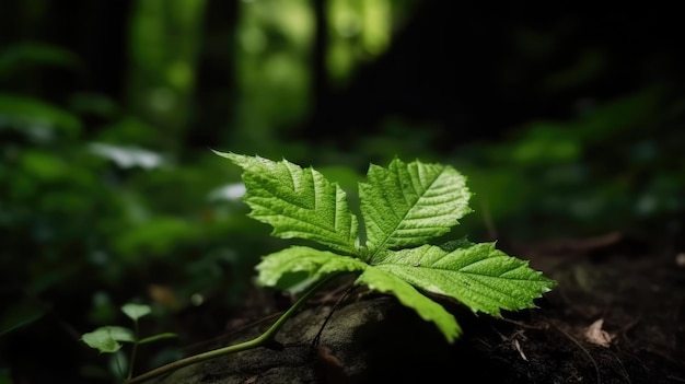 Green leaf in the forest generative ai