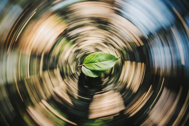 a green leaf is floating in a circle of water