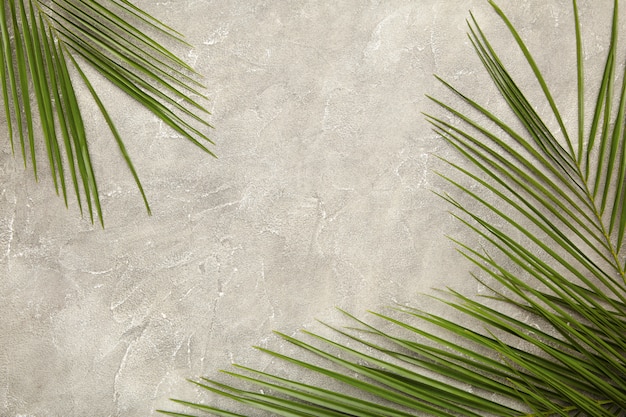 Green leaf of palm tree on grey concrete background, top view