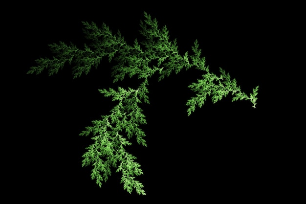 Green leaf pine