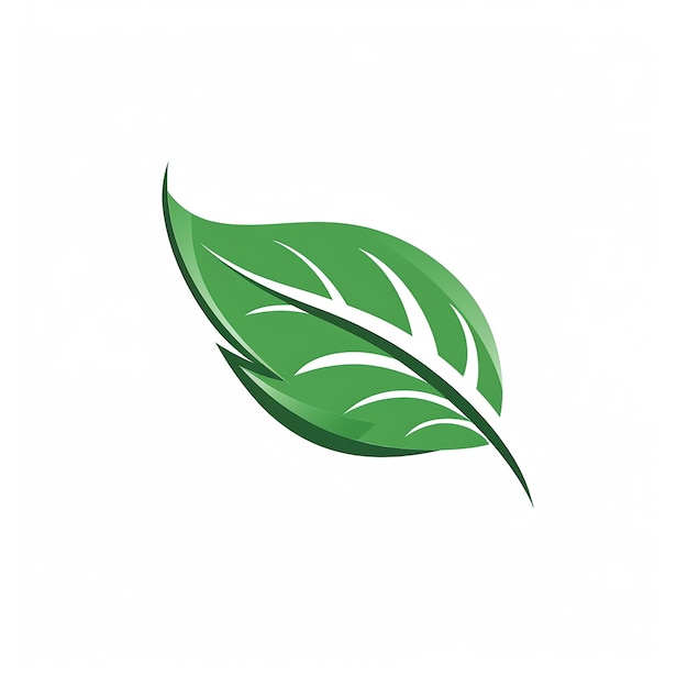 a green leaf that is from the company of the company