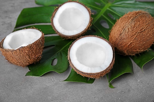 Green leaf with fresh coconuts on grey background